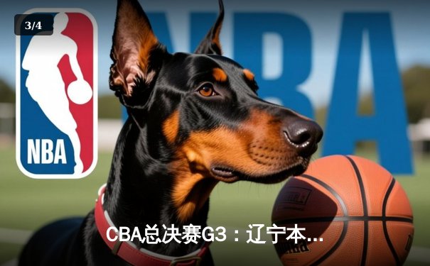 CBA总决赛G3：辽宁本钢加时险胜广东华南虎，张镇麟砍下33分创生涯新高 - 3